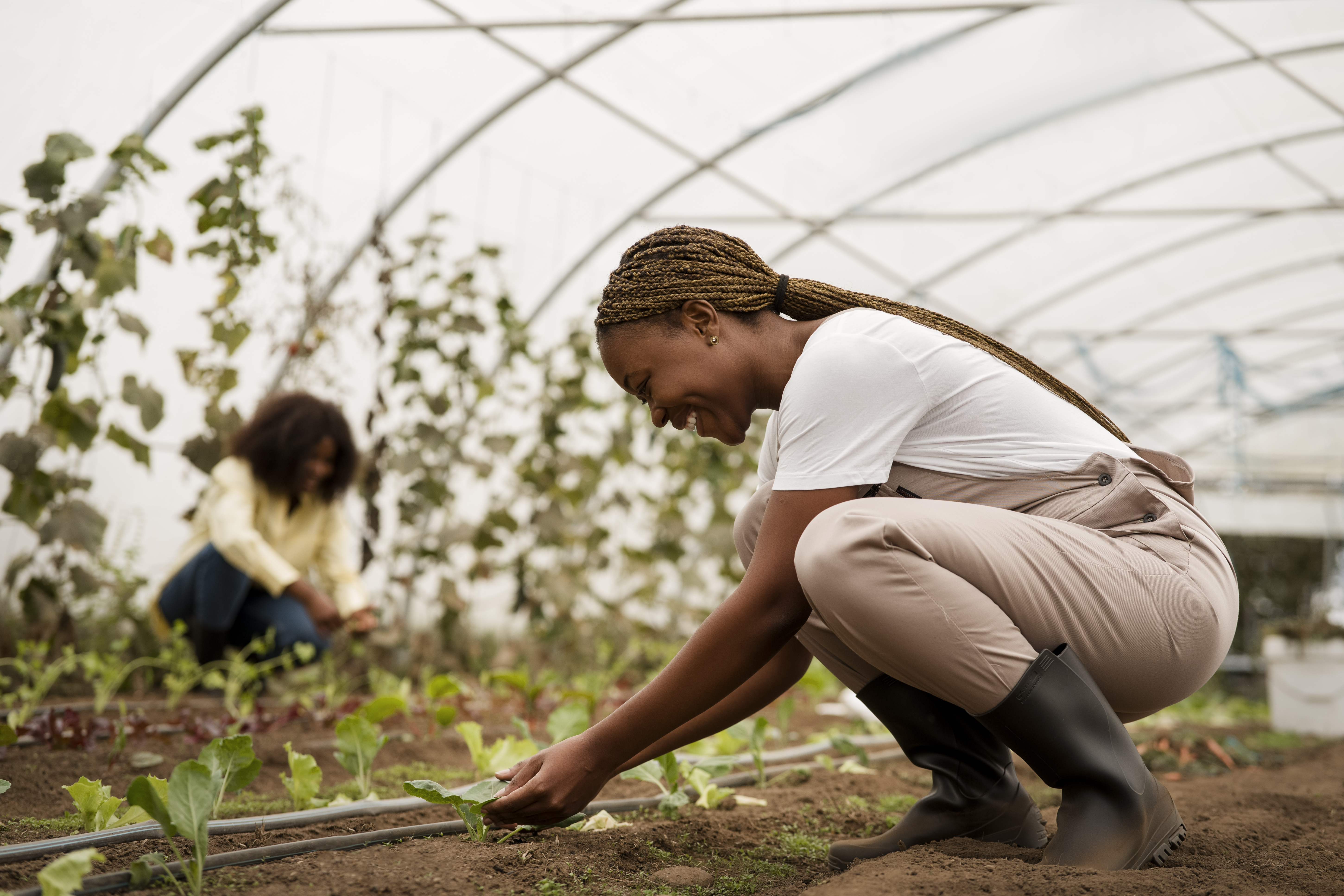 Projet d'agriculture durable